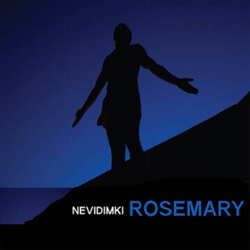 Обложка альбома Невидимки